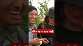 धेरैले छाम्छन मेरो funny nepalimedia comedy nepalientertainment shorts [upl. by Harbot]