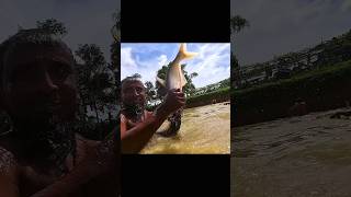 Amazing Fishing By Polo Trap bigfish polofishing catchingfish fishvideo shorts [upl. by Costello]