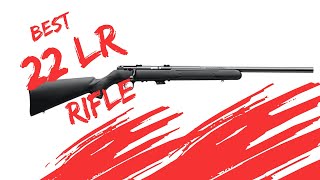 Savage Mark II 22 LR Review  Incredible Accuracy [upl. by Allegna]