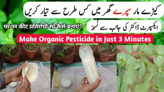 Make Free Organic Pesticides For Plants At Home With These 2 Things Only [upl. by Aleet]