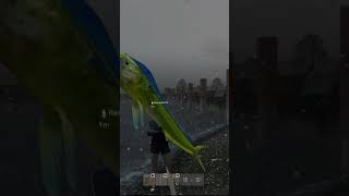 MAHI MAHI dayz dayzgameplay dayzpvp dayzraid gaming twitch fishing [upl. by Kcered]