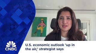 US economic outlook up in the air strategist says [upl. by Lourie]