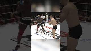 Brutal MMA Fight Kevin Randleman VS Cro Cop crocop kevinrandleman mma pridefc ufcfighter ufc [upl. by Auhsohey777]