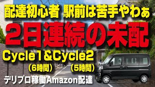 【Amazon配達】悪夢再び！！駅前の配達・・・デリプロ稼働8日目■■20241029■■ [upl. by Ames884]