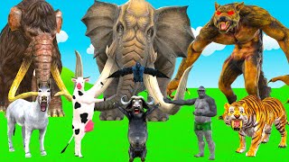 10 Mammoth Elephant Cow vs 5 Tiger Lion Zombie Wolf Bull Attack Baby Elephant Saved By Woolly Mammot [upl. by Nixie]