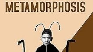 quotThe Metamorphosisquot by Franz Kafka Detailed Summary amp Analysis  Literature [upl. by Funk]