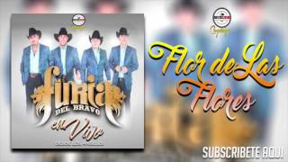 La Furia Del Bravo  Flor De Las Flores En Vivo 2017 [upl. by Coates781]