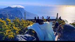 SHAADIYA SHARAF OO VLOG KA SO SAMEYSAY BUURTA CAADKA KA KOREYSA EE SOUTH AFRICA EE CAPE TOWN 🇿🇦🌼 [upl. by Ellett790]