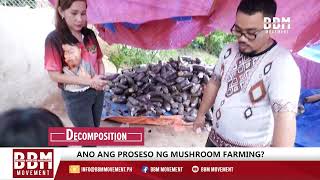 Osyter Mushroom Farming in Bukal ng Buhay Farm Indang Cavite [upl. by Hanahs]