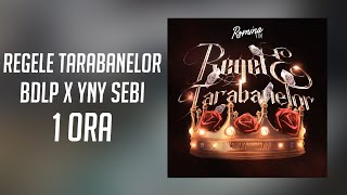 BDLP x Yny Sebi  Regele Tarabanelor  1 ORA [upl. by Haleak519]