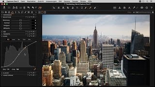 Der perfekte Bildkontrast  Auszug aus Capture One Pro 9 – Das PraxisTraining für Fotografen [upl. by Annia737]