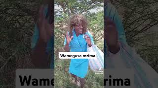 Wamegusa mrima 😂😂🤣🤣funny trending shorts [upl. by Ordnassela]