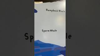 Mr Sperm Whale … is named after the waxy substance—spermaceti—found in his head 🐳 🤓 [upl. by Aimekahs638]