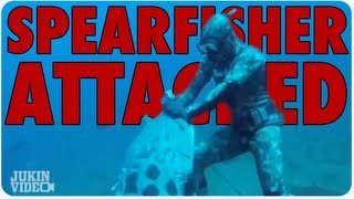 Spearfisher Gets Attacked By GIANT Grouper [upl. by Eibrab]