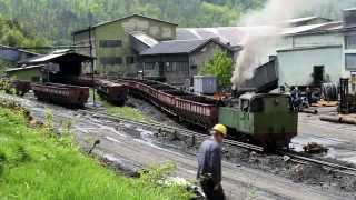 Banovici Coal Mine  Bosnian Narrow gauge Steam in Spring Sunshine bosnia bosniansteam steamloco [upl. by Airdnaed956]