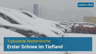 Erster Wintergruß im Tiefland [upl. by Donetta]