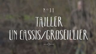 Tailler un cassis ou un groseillier [upl. by Aelc467]