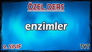 8 Enzimler 1  Özel Ders 9 Sınıf [upl. by Benjamen65]