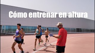 Las claves de entrenar en altitud de forma correcta [upl. by Donn]