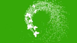 Green screen Butterfly flying green screen effects green screen butterflys [upl. by Heiner630]