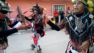 Danza Gatos Montez En Bajio D Bonillas [upl. by Nolitta]