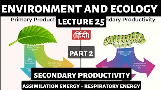 Secondary Ecological Productivity  Environment amp Ecology  UPSC Preparation Detailed Lecture [upl. by Prisca45]