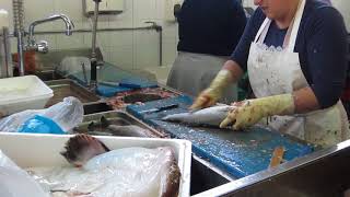 Angeiras fish market  Mercado do peixe de Angeiras [upl. by Lupee]