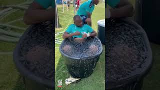 Ayew in the ice Bath stopgalamseynow automobile ghanamusicawardsusa worldcupqualification fig [upl. by Violeta]