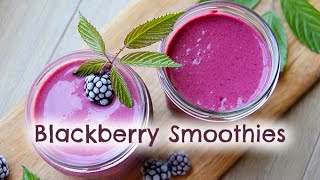 How to make Blackberry Smoothie Recipes  wild and delicious [upl. by Heyman17]