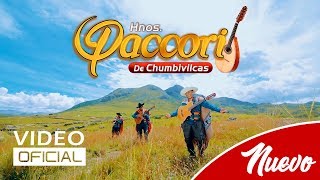 HNOS PACCORI DE CHUMBIVILCAS  Chamaca Grandioso VIDEO OFICIAL  FAMECO FILMS [upl. by Hourigan]