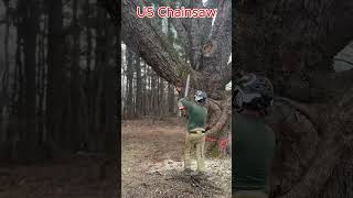 chainsaw  sawing trees 32 [upl. by Aikem]