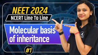 Molecular Basis of Inheritance1  Structure of DNA  NCERT line by line  Poonam maam [upl. by Eiggep514]