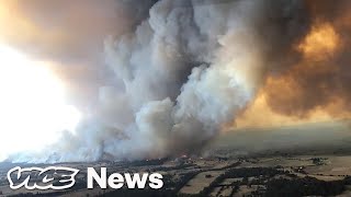 Australias Wildfires Are Carrying Smoke Around The Globe [upl. by Aicel71]