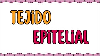 Tejido epitelial [upl. by Jaco401]