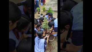 Garden setup done at PSBB MILLENNIUM SCHOOL Thazhambur Chennai [upl. by Michaela]