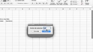 Formato de celdas en Excel [upl. by Gile]