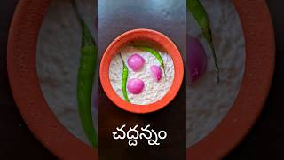 మీ కడుపు చల్ల కుండ చద్దన్నం  Chaddannam recipe in telugu Chaddannam shorts ytshorts trending [upl. by Amitarp]