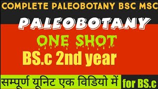 paleobotany BSc 2nd year ONE SHOT video 2023 BScBOTANY cpsharma Botanyimpquestions2023 BSc [upl. by Orabla]