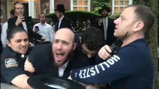 Hachnosas Sefer Torah Ends In NYPD Making Arrests [upl. by Hauger]