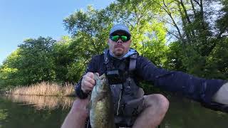 Muddy River GIANT Smallmouth [upl. by Greta]