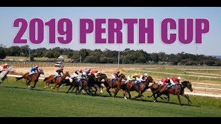 2019 Perth Cup [upl. by Lilybel625]