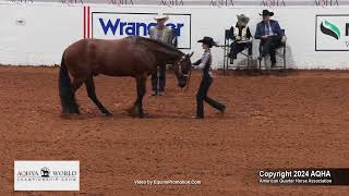 2024 AQHYA world champion 13ampUnder showmanship [upl. by Analos]