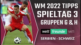 WM Tipps 3 Spieltag ⚽ Gruppen G amp H Prognose ⚽ mit Serbien  Schweiz [upl. by Enailuj61]