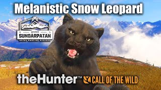 Melanistic Snow Leopard Hunt  Sundarpatan Nepal  theHunter Call Of The Wild [upl. by Nivre]