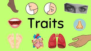 Traits in Genetics [upl. by Shalom]