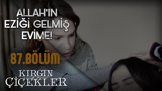 Meral ile kavga etmeye çalışan Harika  Kırgın Çiçekler 87Bölüm [upl. by Eneloj]