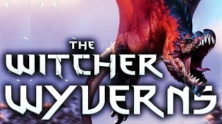 Witcher Draconids Wyverns  Witcher Lore  Witcher Myths  Witcher 3 lore  Witcher Monster Lore [upl. by Quillan]