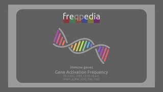 All Immune Genes Activation Frequency [upl. by Ennoval]