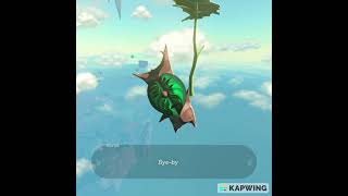 KOROK SEEDS [upl. by Vandyke]