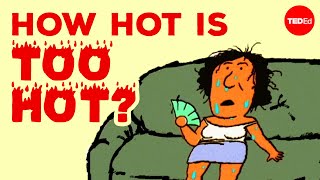 How does extreme heat affect your body  Carolyn Beans [upl. by Asiret152]